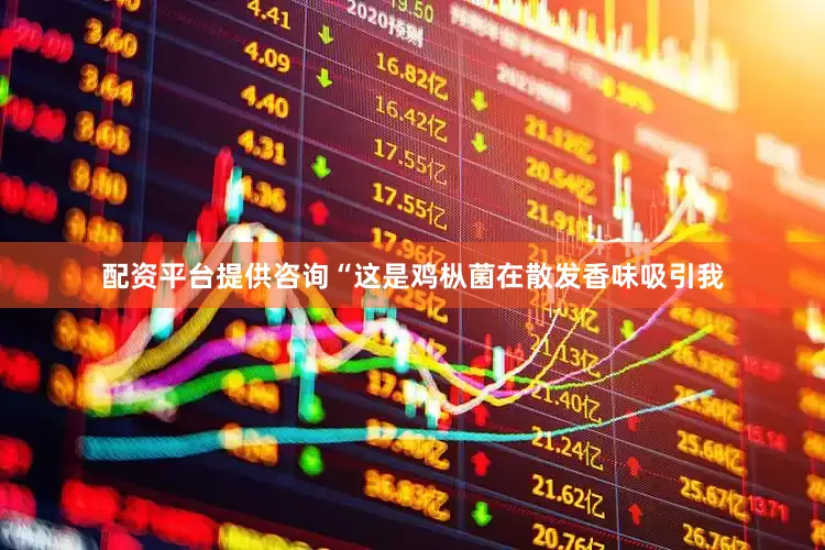 配资平台提供咨询“这是鸡枞菌在散发香味吸引我