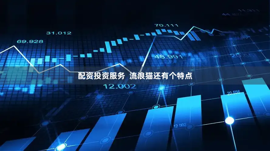 配资投资服务  流浪猫还有个特点
