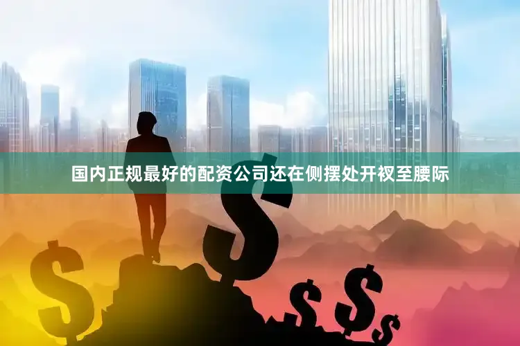 国内正规最好的配资公司还在侧摆处开衩至腰际