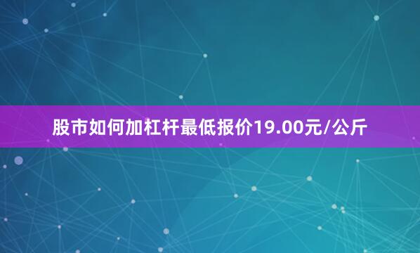 股市如何加杠杆最低报价19.00元/公斤