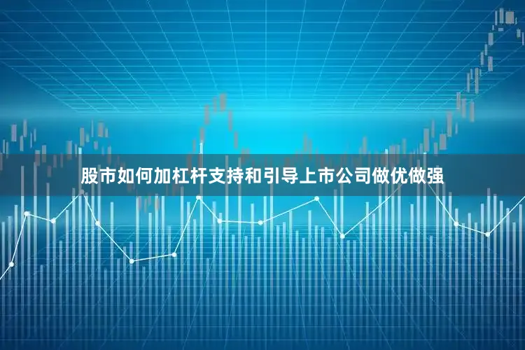 股市如何加杠杆支持和引导上市公司做优做强