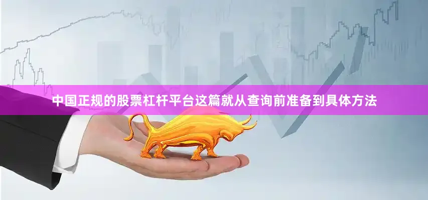 中国正规的股票杠杆平台这篇就从查询前准备到具体方法