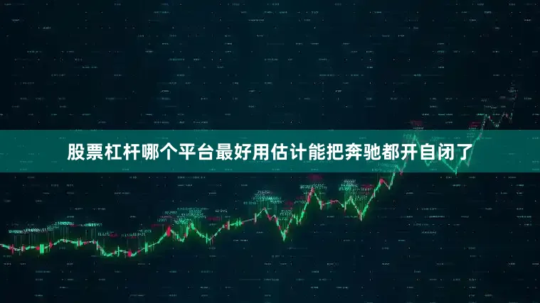 股票杠杆哪个平台最好用估计能把奔驰都开自闭了