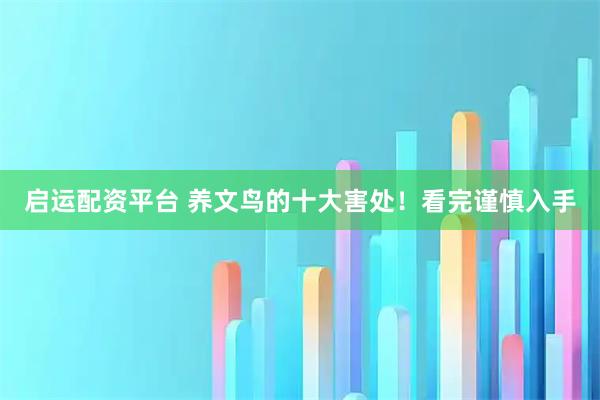 启运配资平台 养文鸟的十大害处！看完谨慎入手
